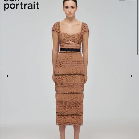 Tan Dot Mesh Shirred Midi Dress - Picture 2 of 3